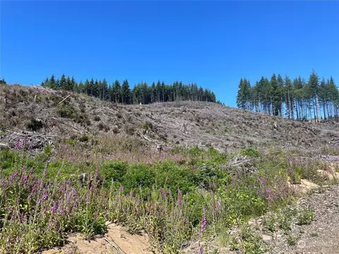 0 Middle Valley Rd, Skamokawa, WA 98647