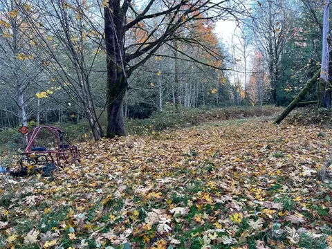 19816 Meadow Lake Rd, Snohomish, WA 98290