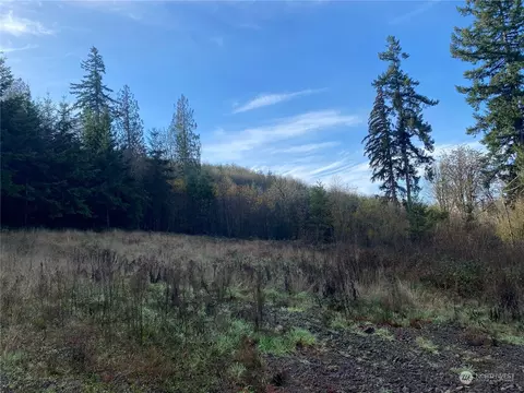 0 Lot G S Goble Creek Rd, Kelso, WA 98626