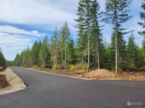 0 Lot 1 Div 1 Raven Ln, Elma, WA 98541