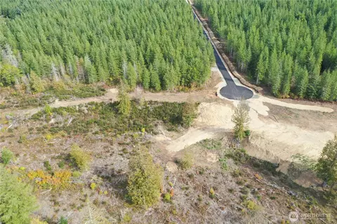 0 Lot 4 Div 2 Raven Ln, Elma, WA 98541