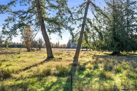 0 Hart Rd, Winlock, WA 98596 photo 15