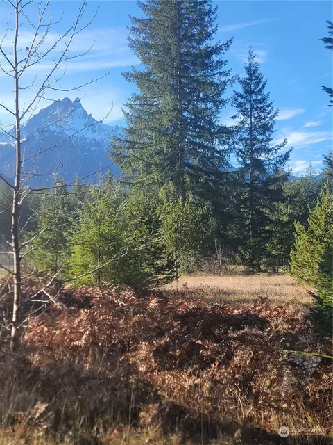 405 A Clear Creek Rd, Darrington, WA 98241