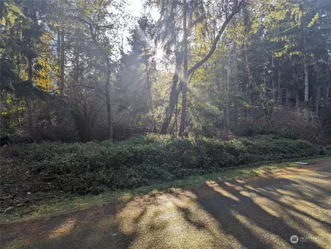 10614 Suncrest Dr, Anderson Island, WA 98303