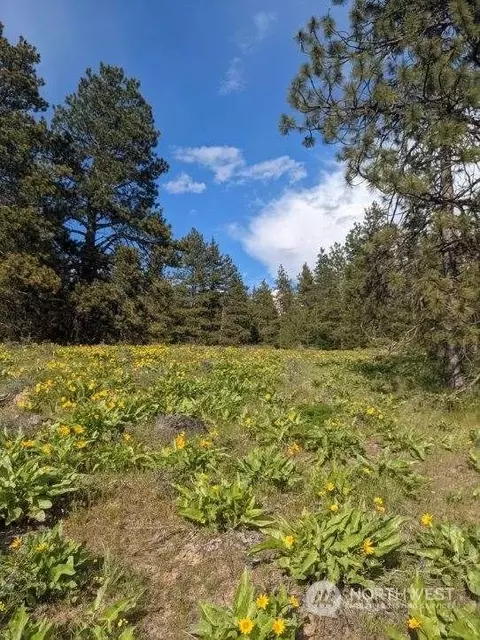 9356 Thorp Prairie Rd, Cle Elum, WA 98922