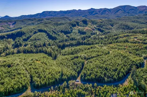 8 Dell Creek Mainline Rd, Naselle, WA 98638