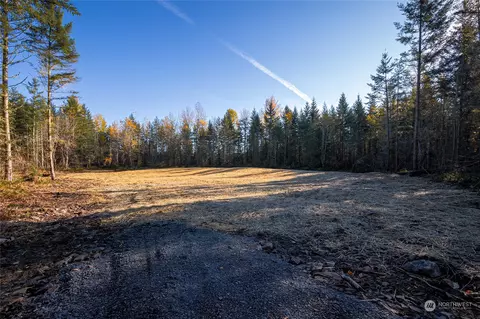 4722 River Ridge Dr E, Eatonville, WA 98328