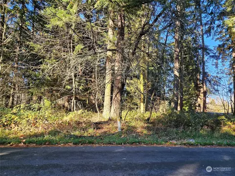 12909 Kapowsin Highlands Dr E, Graham, WA 98338