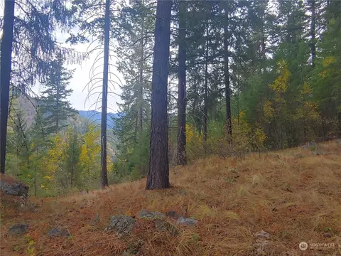 0 Nna Ingalls Crk, Peshastin, WA 98847