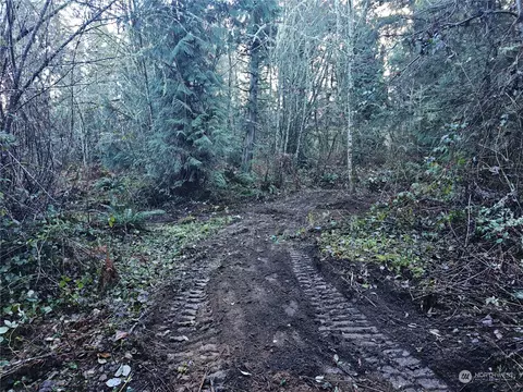 2620 304th St E, Roy, WA 98580 photo 20