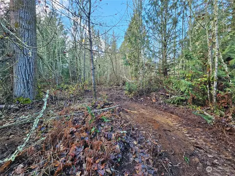 2620 304th St E, Roy, WA 98580 photo 15