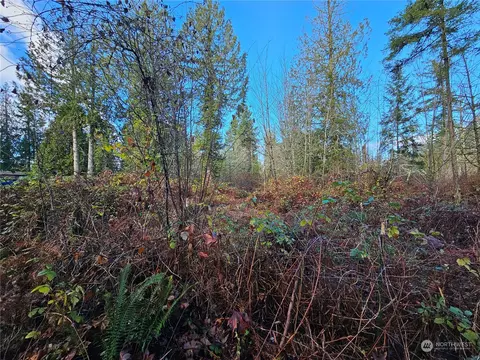2620 304th St E, Roy, WA 98580 photo 13