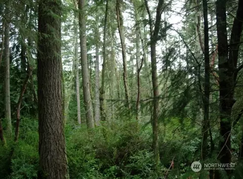 11415 87th Street Ct E, Anderson Island, WA 98303