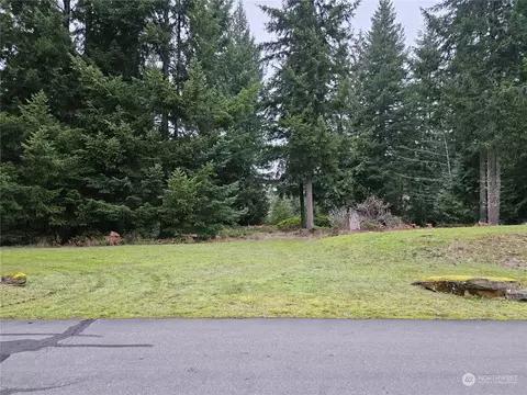 275 Nn 181st Street Ct E, Carbonado, WA 98323