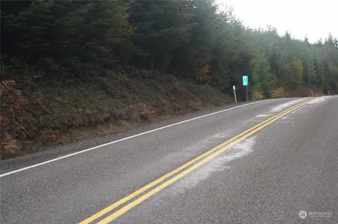 0 Mp 10 Wynooche Valley Rd, Montesano, WA 98563