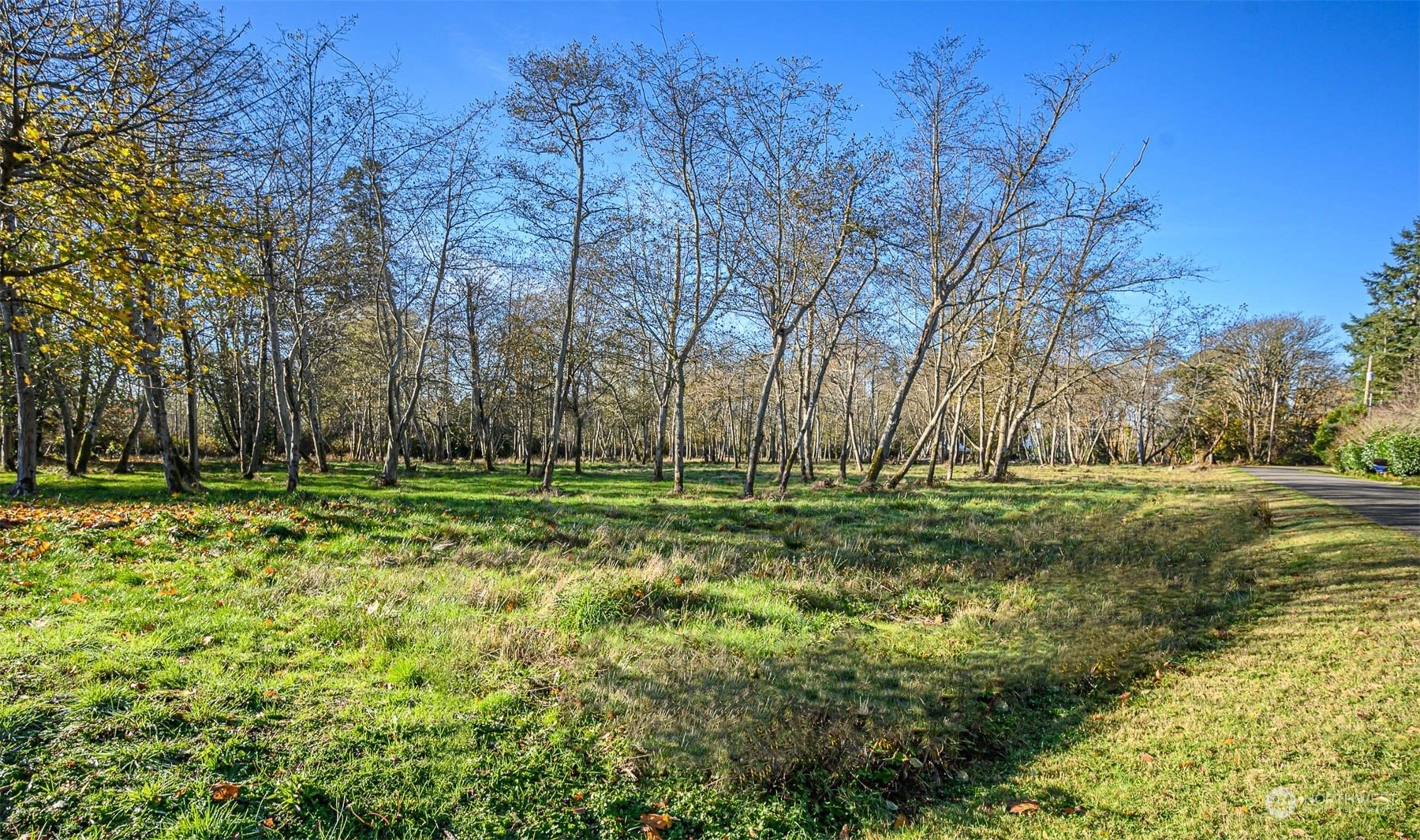 244 Xx Melchert Way SW  