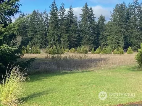 10448 138th Ave SE, Rainier, WA 98576