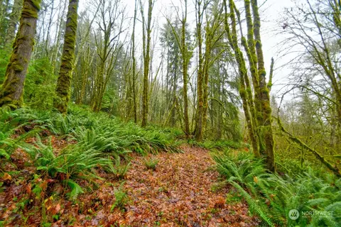 0 Crego Ridge Rd, Adna, WA 98522
