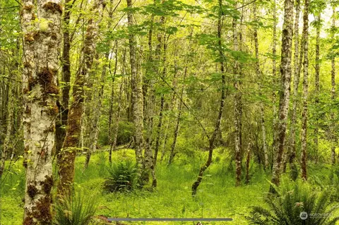 0 Lexington Pl N, Quilcene, WA 98376
