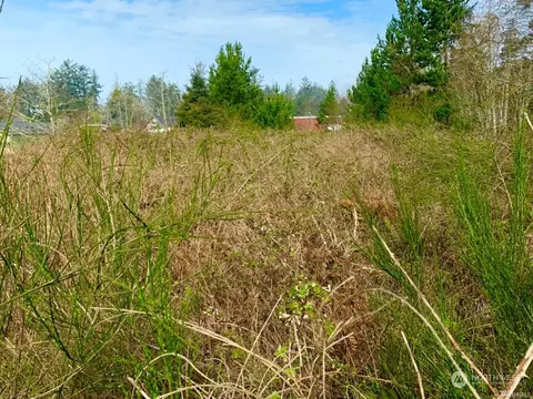 285 Lots 5-6 Y Ln, Ocean Park, WA 98640