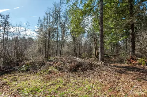133 Silverthistle Rd, Winlock, WA 98596 photo 2