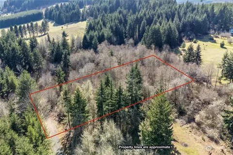 133 Silverthistle Rd, Winlock, WA 98596