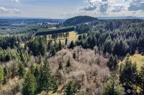 133 Silverthistle Rd, Winlock, WA 98596 photo 5