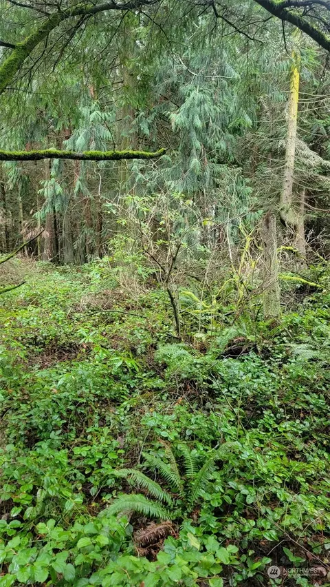2180 Cliff St, Port Townsend, WA 98368