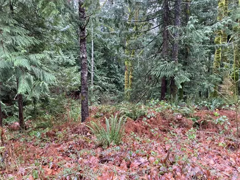 0 Arabian Dr, Brinnon, WA 98320