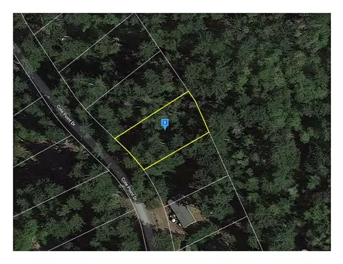 12313 Cole Point Dr, Anderson Island, WA 98303