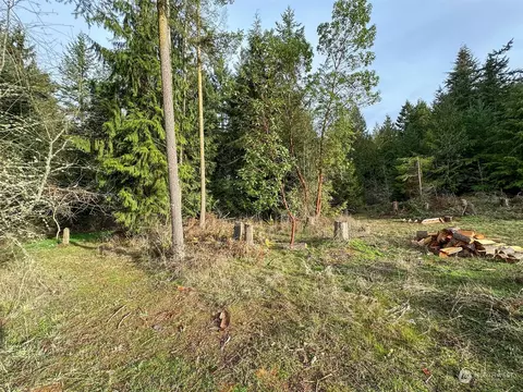 176 Martin Rd, Sequim, WA 98382 photo 31