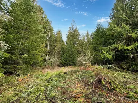176 Martin Rd, Sequim, WA 98382 photo 33