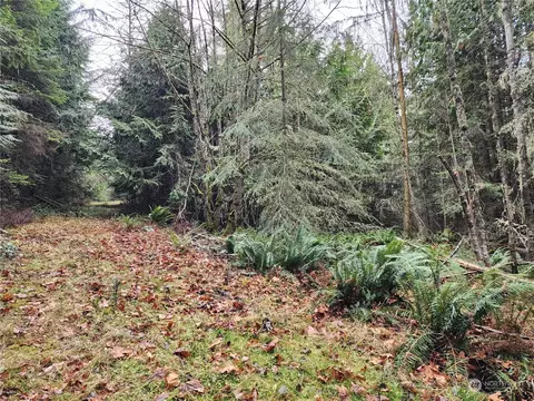 9999 Broadview Dr, Sequim, WA 98382 photo 6
