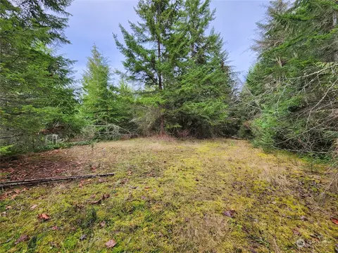 9999 Broadview Dr, Sequim, WA 98382 photo 2
