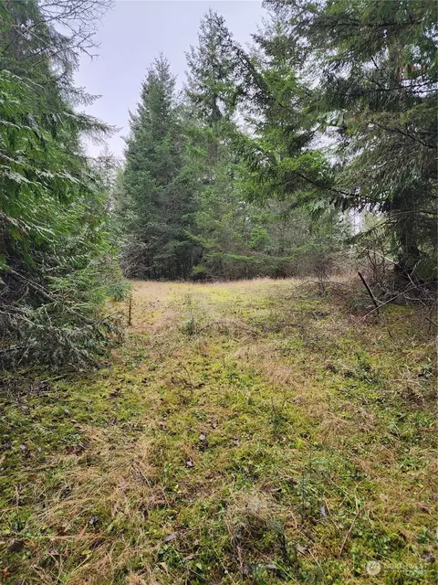 9999 Broadview Dr, Sequim, WA 98382 photo 3