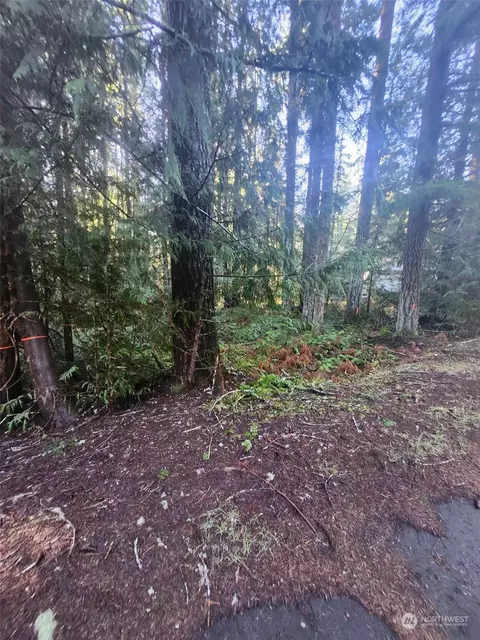 111 N Duckabush Loop W, Hoodsport, WA 98548