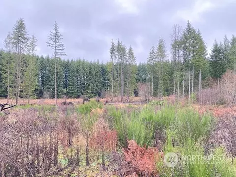 1890 State Route 603, Napavine, WA 98565