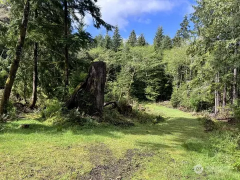 0 Lynn Point Ln, South Bend, WA 98586