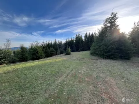 323 Nn Parpala Rd, Naselle, WA 98638