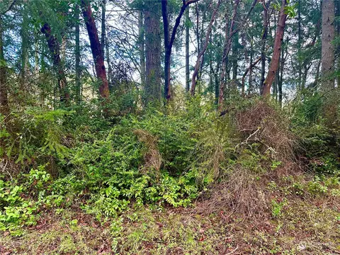 12023 Cascade Pl, Anderson Island, WA 98303
