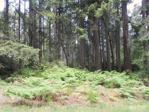 10318 Totem Way, Anderson Island, WA 98303