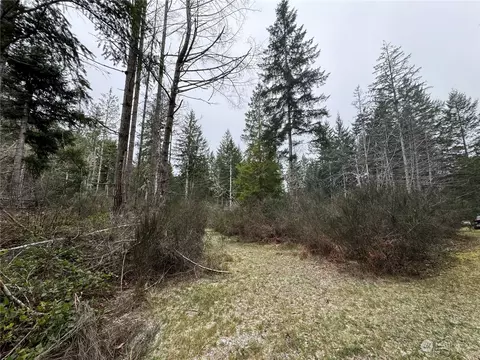 0 E Ritz Dr, Shelton, WA 98584