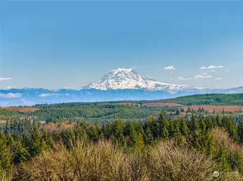 0 Olequa Heights Lot G Rd, Castle Rock, WA 98611