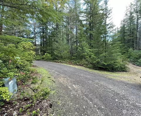 0 NE Nnn Ne Eagle Creek Ln, Tahuya, WA 98588