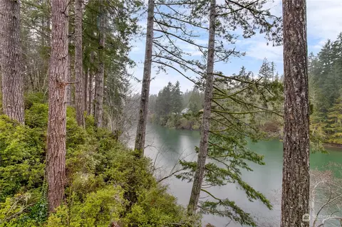 171 E Orchard Beach Dr, Grapeview, WA 98546 photo 29