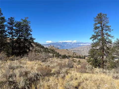 0 Pine Hollow Dr, Orondo, WA 98843