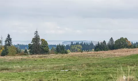 100 Craftsman Ct, Sequim, WA 98382 photo 9
