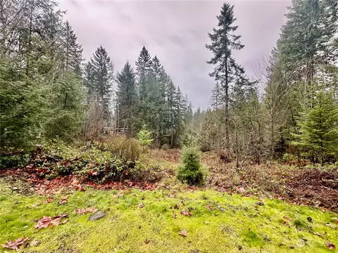 18719 225th Ave E, Orting, WA 98360 photo 6