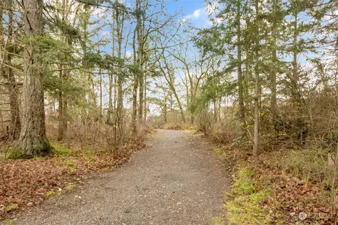 4909 202nd St E, Spanaway, WA 98387 photo 23