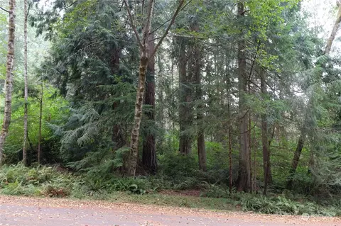 12514 94th Street Ct, Anderson Island, WA 98303